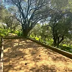 Villa Paolina Olmeto (Corsica)