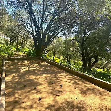 Villa Paolina Olmeto